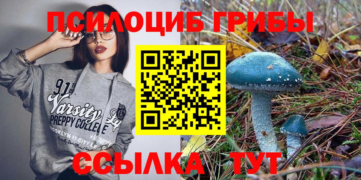 Псилоцибиновые грибы Psilocybe Ипатово