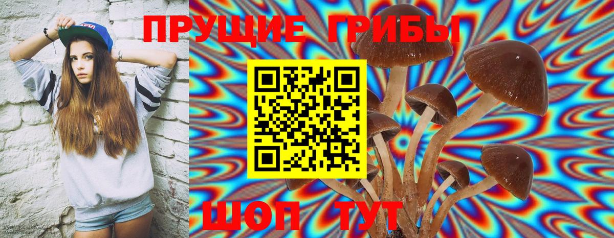 где можно купить   Вход с VPN  Ипатово  Псилоцибиновые грибы MAGIC MUSHROOMS  Галлюциногенные грибы GOLDEN TEACHER 