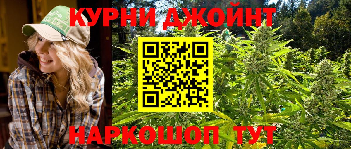 Ипатово  Каннабис OG Kush  Вход с VPN  Марихуана сатива  Конопля Amnesia  Конопля Bruce Banner 